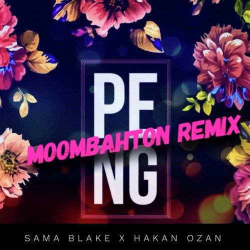 Peng Moombahton Remix by Imran Khan - Download on PagalFree