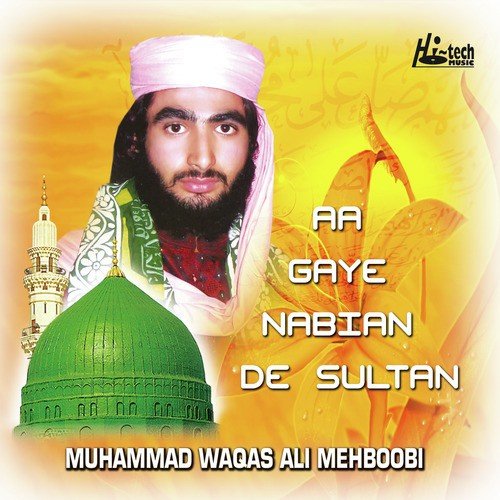 Teri Malangni Hoi Mere Daata by Muhammad Waqas Ali Mehboobi - Download on PagalFree