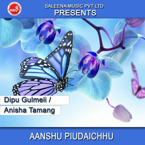 Aanshu Piudaichhu by Dipu Gulmeli, Anisha Tamang - Download on PagalFree