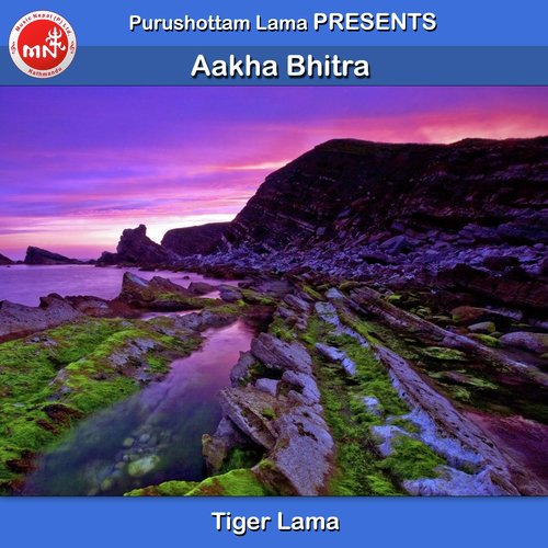 Aakha Bhitra by Tiger Lama - Download on PagalFree