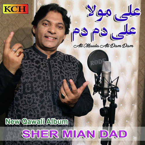 Baba Da Menu Rang by Sher Mian Dad - Download on PagalFree