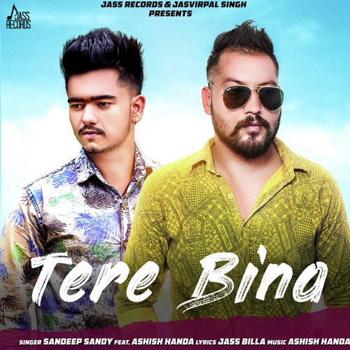 Tere Bina by Rajat, Roma Sagar - Download on PagalFree
