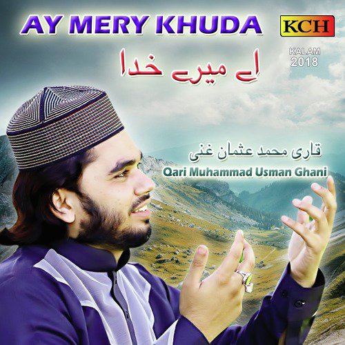 Dil De Andar Allah Waly by Qari Muhammad Usman Ghani - Download on PagalFree