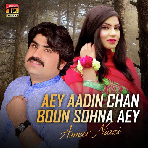 Tu Kuja Man Kuja by Ameer Niazi - Download on PagalFree