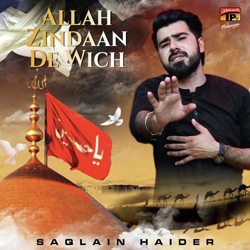 Ho Chuki Har Zulm Ki by Saqlain Haider - Download on PagalFree