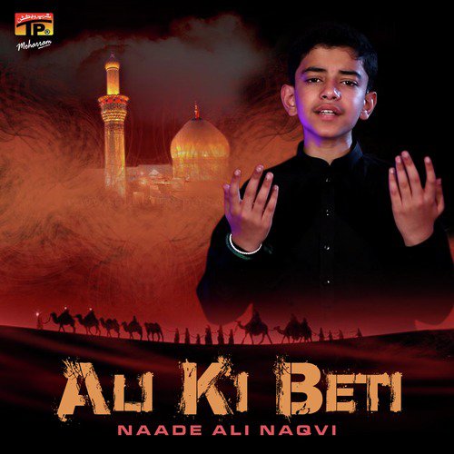 Mera Veer Mar Chadiya by Naade Ali Naqvi - Download on PagalFree