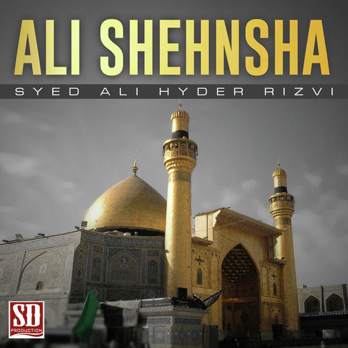 Ali Shehnsha by Syed Ali Hyder Rizvi - Download on PagalFree