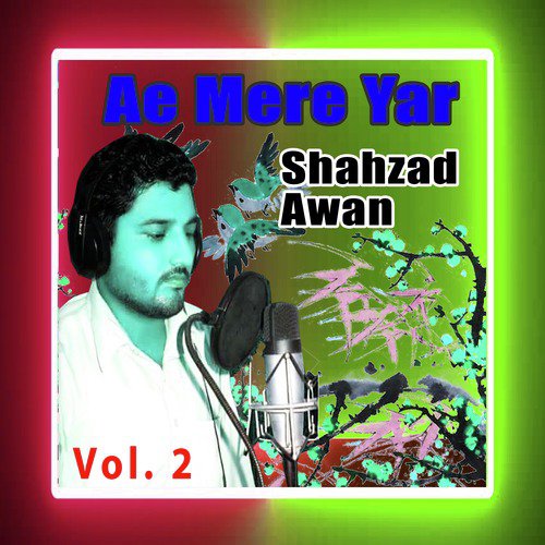 Dhola Teer by Shahzad Awan - Download on PagalFree