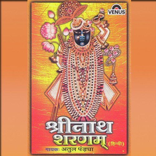 Jai Jai Jai Shrinath Ji by Chitra Roy - Download on PagalFree