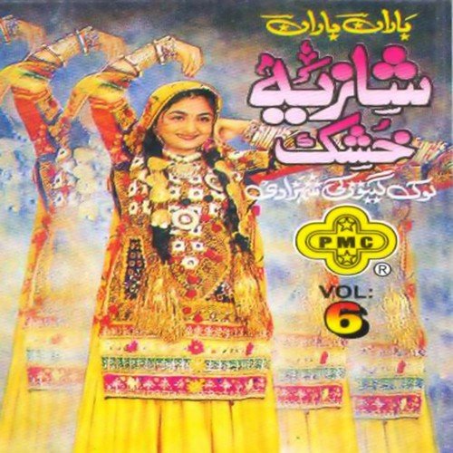 Ameda ranjhana by Shazia Khushk - Download on PagalFree