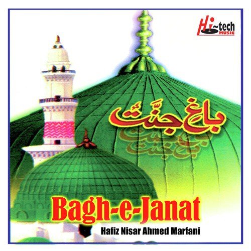 Ranj-o-Aalam Ki Shaam Dali by Hafiz Nisar Ahmed Marfani - Download on PagalFree