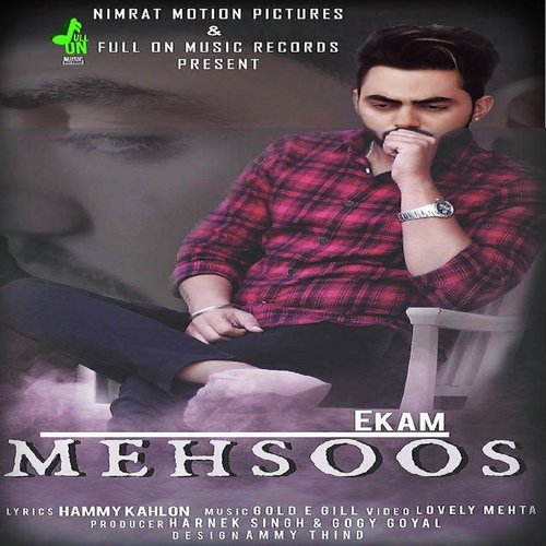 Mehsoos by Ronnie Singh - Download on PagalFree