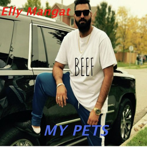 My Pets by Sultaan - Download on PagalFree