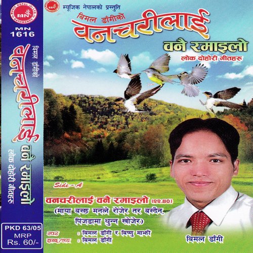 Jyan Le Nabhule by Bimal Dangi - Download on PagalFree
