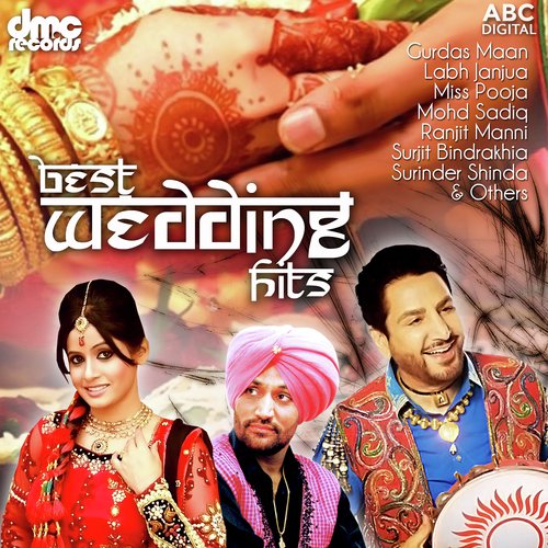 Mere Veer Da Viah by Various Artists - Download on PagalFree