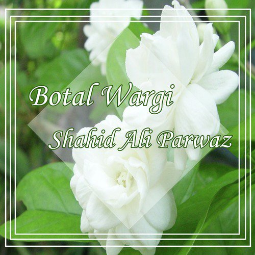 Botal Wargi by Shahid Ali Parwaz - Download on PagalFree