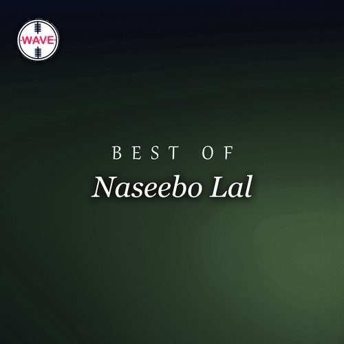 Rab De Roop Ne by Naseebo Lal - Download on PagalFree