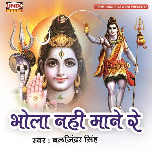 Piyaara Hain Tera Darbar Bhole by Baljinder Shingh - Download on PagalFree