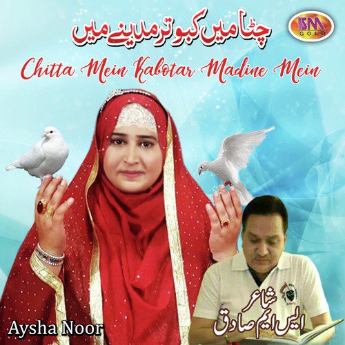 Chitta Mei Kabotar by Aysha Noor - Download on PagalFree