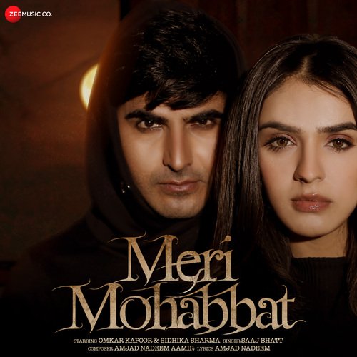Meri Mohabbat by Amjad Nadeem Aamir, Saaj Bhatt - Download on PagalFree