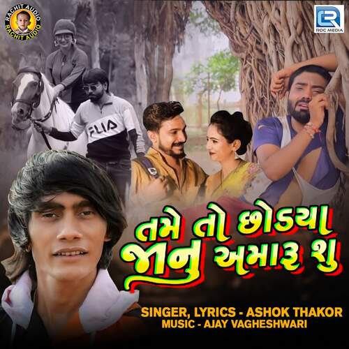 Tame To Chhodaya Janu Amaru Shu by Ashok Thakor - Download on PagalFree