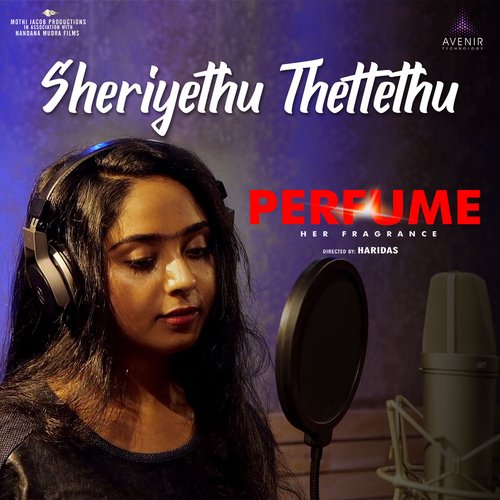 Sheriyethu Thettethu by Rajesh Babu K Sooranad - Download on PagalFree