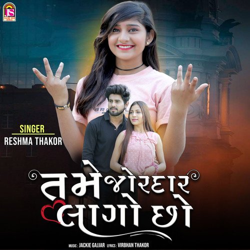 Tame Jordar Lago Cho by Reshma Thakor - Download on PagalFree