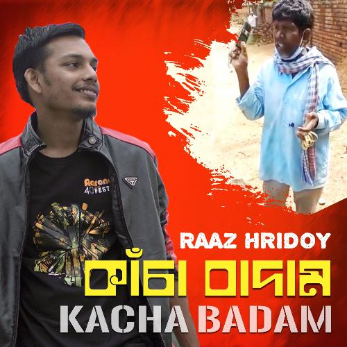 Kacha Badam by Raaz Hridoy - Download on PagalFree