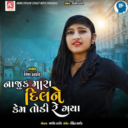 Najuk Mara Dil Ne Kem Todi Re Gaya by Reshma Thakor - Download on PagalFree