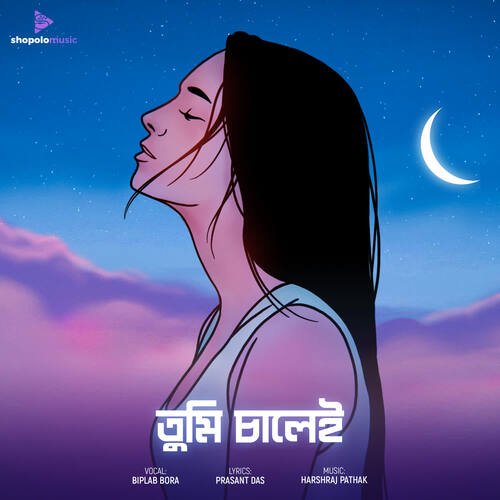 Tumi Salei by Harshraj Pathak, Biplab Bora - Download on PagalFree