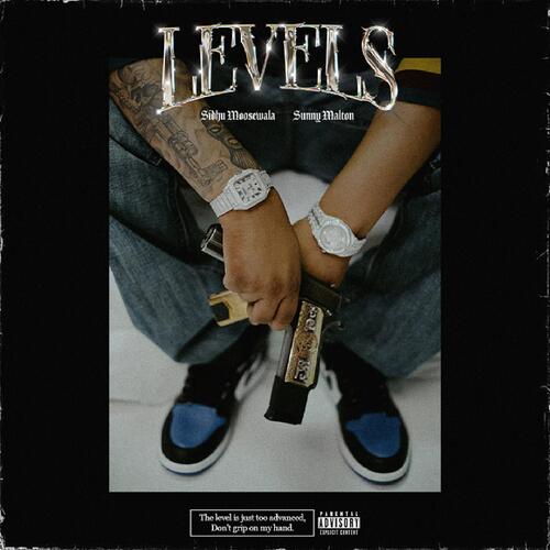 Levels (feat. Sunny Malton) by Sidhu Moose Wala - Download on PagalFree