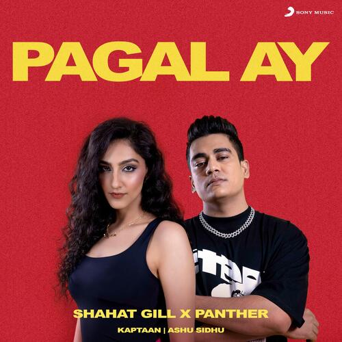 Pagal Ay by Shahat Gill, Panther - Download on PagalFree
