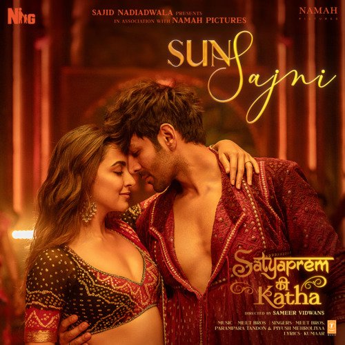 Sun Sajni (From Satyaprem Ki Katha) by Meet Bros, Parampara Tandon, Piyush Mehroliyaa - Download on PagalFree
