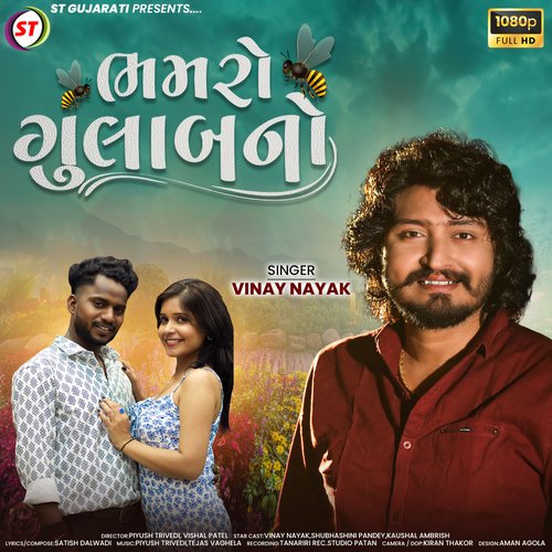 Bhamro Gulab No by Vinay Nayak - Download on PagalFree