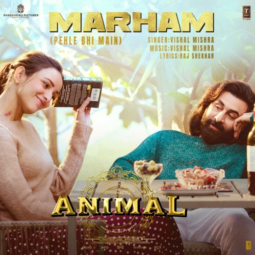Marham (Pehle Bhi Main) From ANIMAL by Vishal Mishra, Raj Shekhar - Download on PagalFree