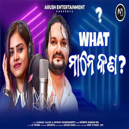 What Mane Kan by Humane Sagar, Antara Chakraborty - Download on PagalFree