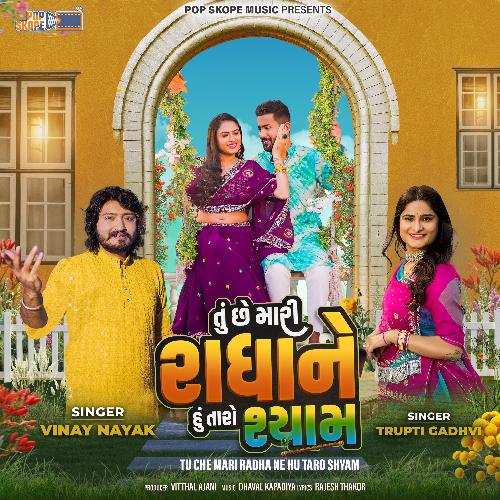 Tu Che Mari Radha Ne Hu Taro Shyam by Vinay Nayak, Trupti Gadhvi - Download on PagalFree
