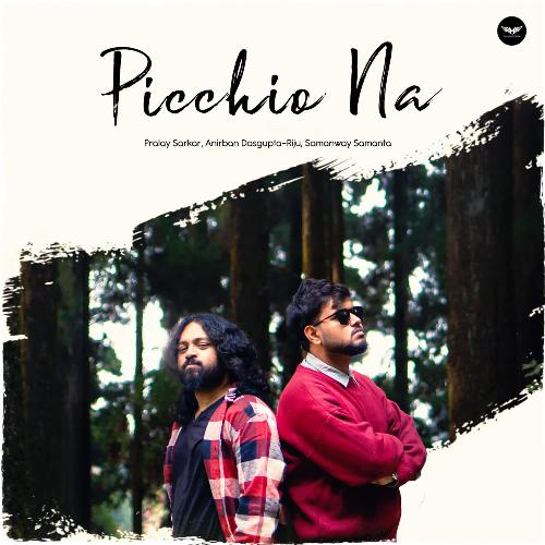 Picchio Na by Pralay Sarkar, Anirban Dasgupta - RIJU, Samanway Samanta - Download on PagalFree