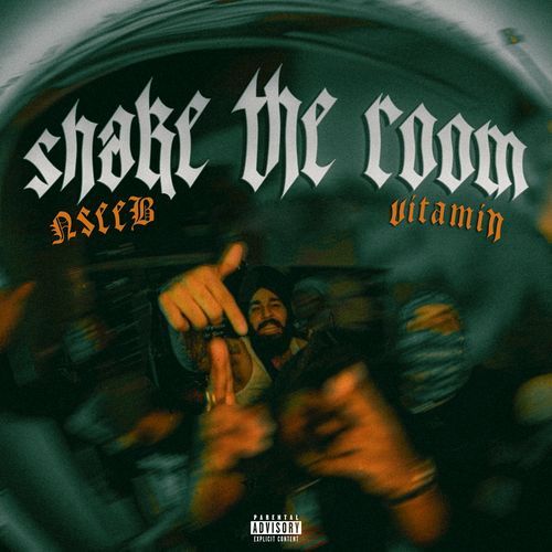 Shake The Room by Nseeb, VITAMIN - Download on PagalFree