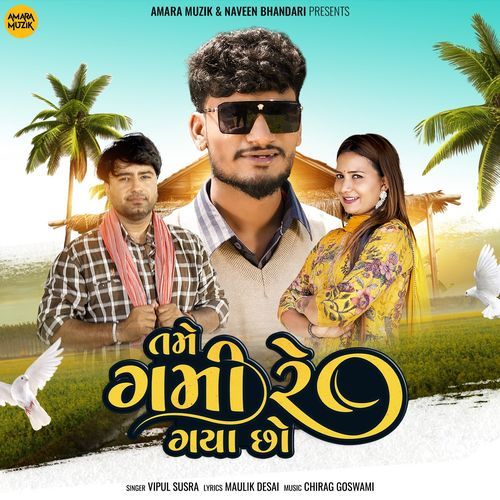 Tame Gami Re Gayo Cho by Chirag Goswami, Vipul Susra - Download on PagalFree