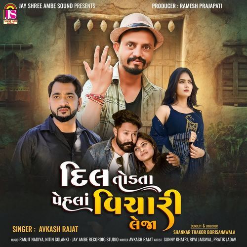 Dil Todata Pehla Vichari Lejo by Avkash Rajat - Download on PagalFree