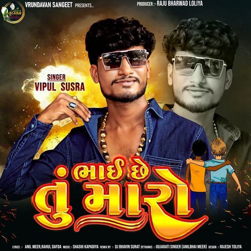 Bhai Chhe Tu Maro by Vipul Susra - Download on PagalFree