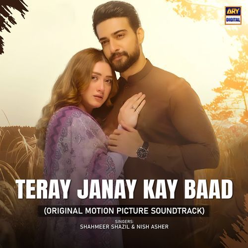 Teray Janay Kay Baad (Original Motion Picture Soundtrack) by Shahmeer Shazil, Nish Asher - Download on PagalFree