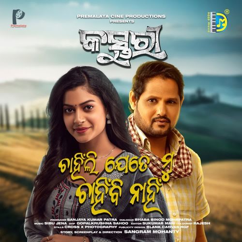 Chahinli Jete Mu Chahibi Nahi by Human Sagar, Aseem Panda - Download on PagalFree
