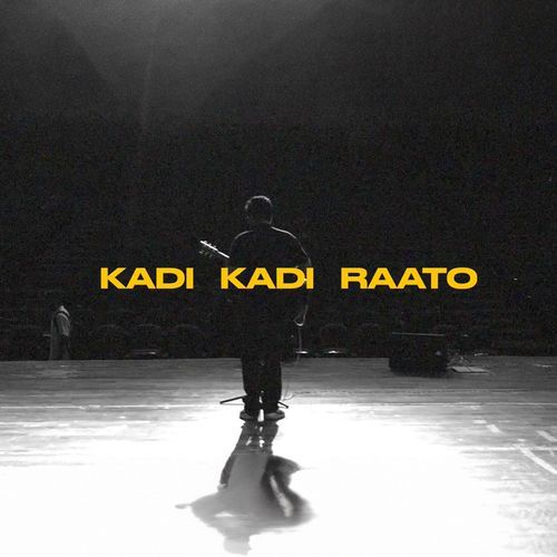 Kadi Kadi Raato by Ronak Limbachiya, Kartik Nagda - Download on PagalFree