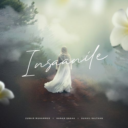 Insaanile by Jubair Muhammed - Download on PagalFree
