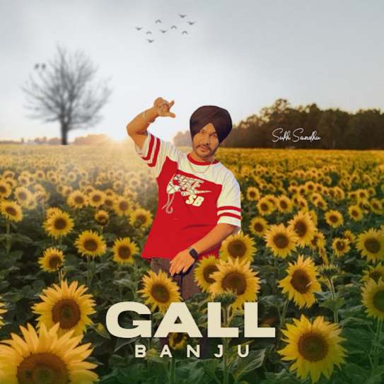 Gall Banju