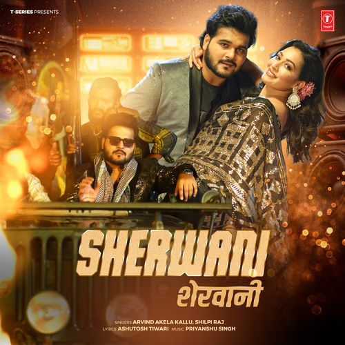 Sherwani by Arvind Akela Kallu - Download on PagalFree
