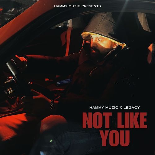 Not Like You by Hammy Muzic - Download on PagalFree