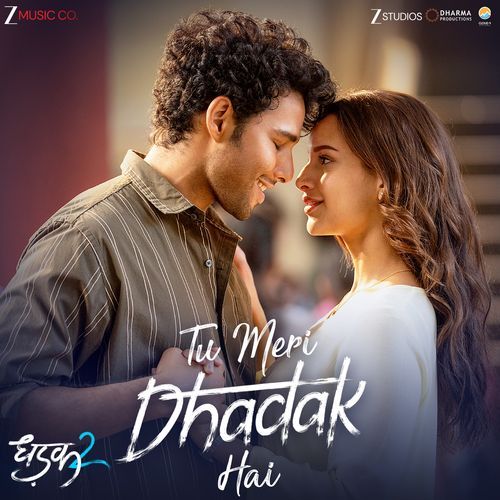 Tu Meri Dhadak Hai From Dhadak 2 by Rashmi-Virag - Download on PagalFree